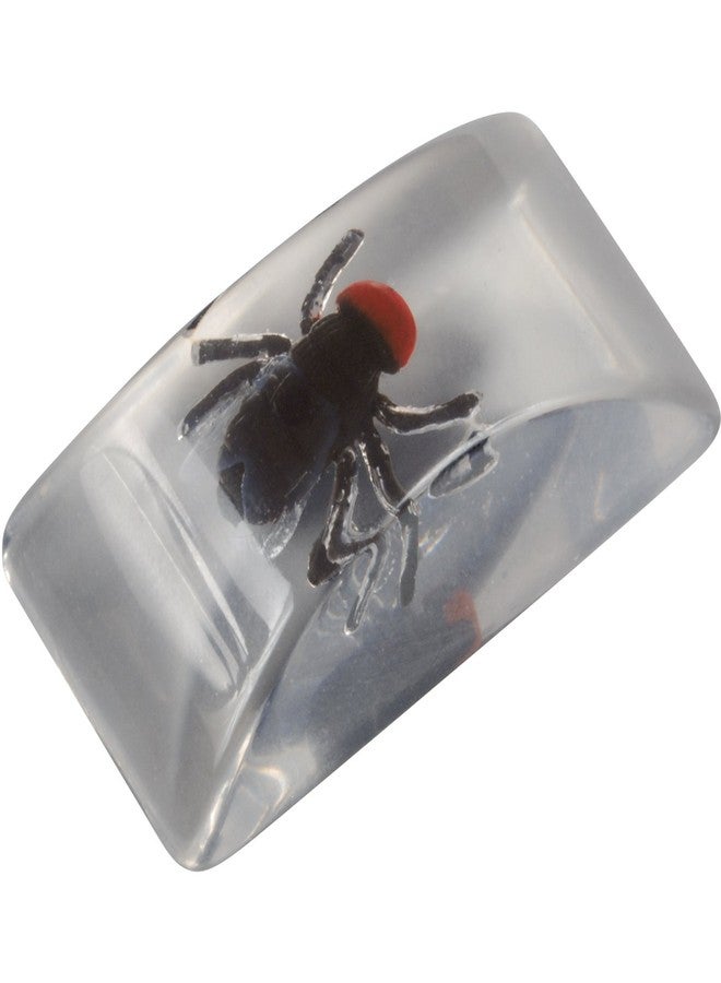Loftus Realistic Looking Fly in an Ice Cube Bar Bug 1.5in Prank, Clear Black, 3 Pack - Image 2